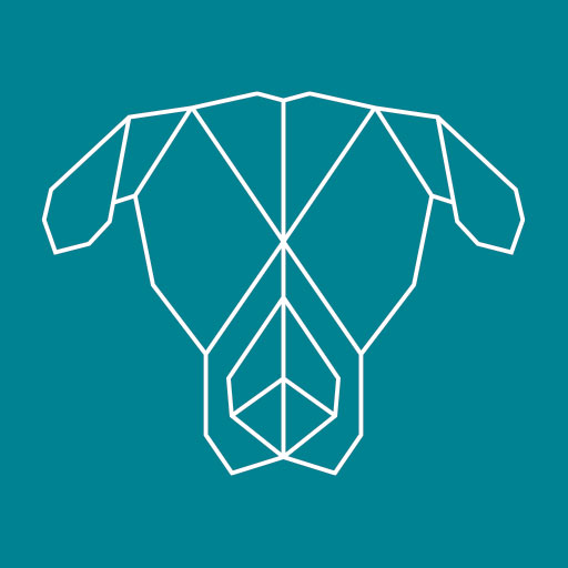 Icon Anna Hundesalon